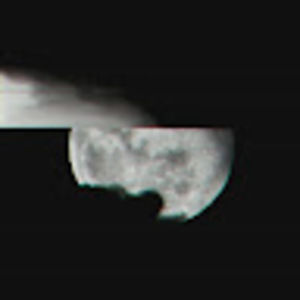 Meet your Posher, Reece